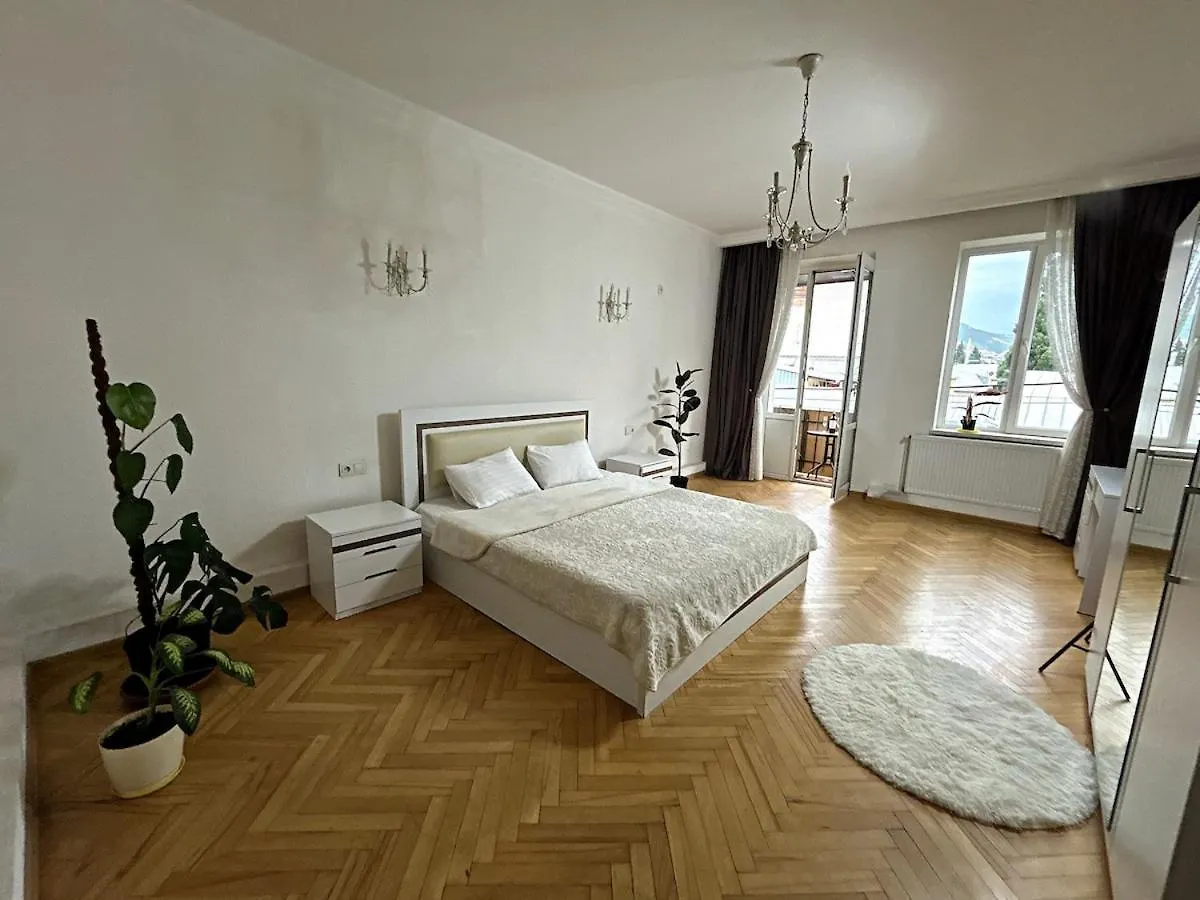 公寓 White Apartament In Old 第比利斯
